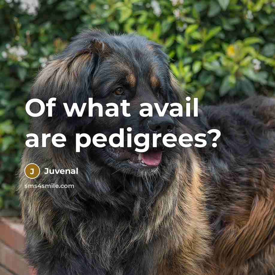 “Of what avail are pedigrees?” quote by Juvenal