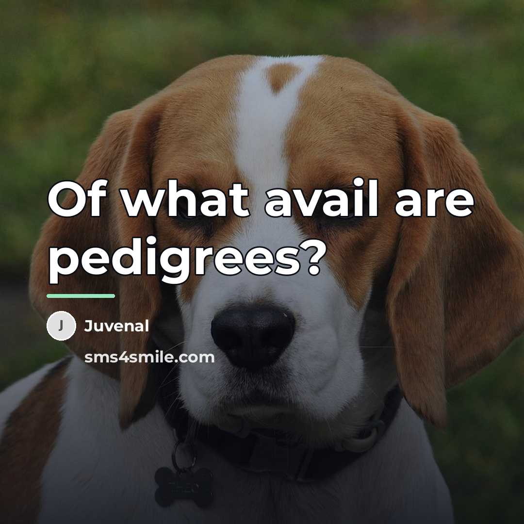 “Of what avail are pedigrees?…” quote by Juvenal