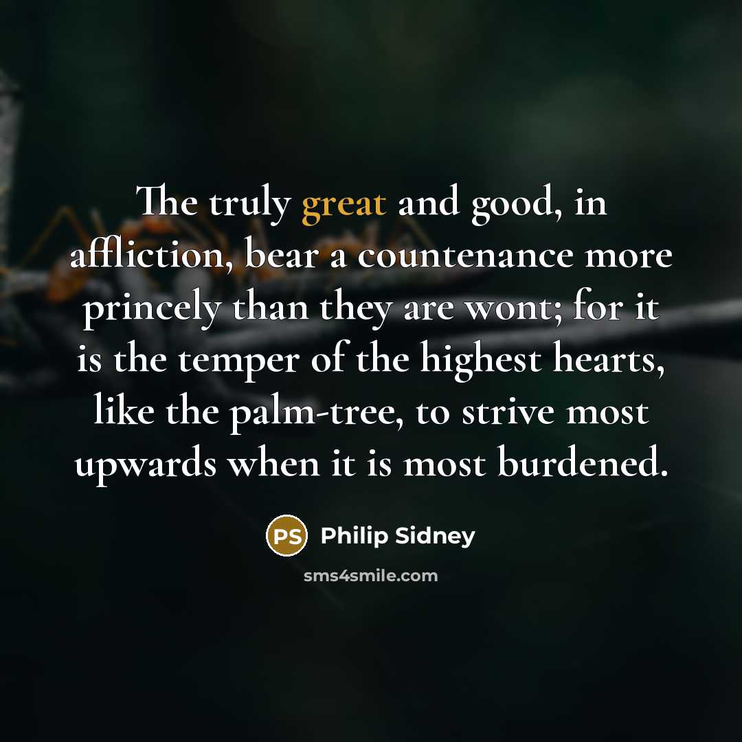 “The truly great and good, in affliction, bear a countenance…” quote by Philip Sidney