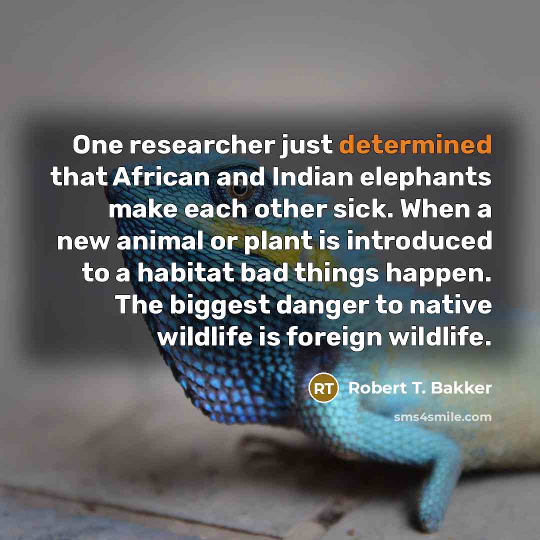 “One researcher just determined that African and Indian elephants make…” quote by Robert T. Bakker