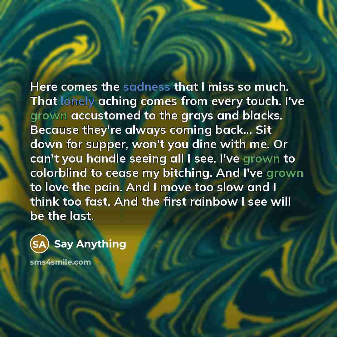 “Here comes the sadness that I miss so much. That…” quote by Say Anything
