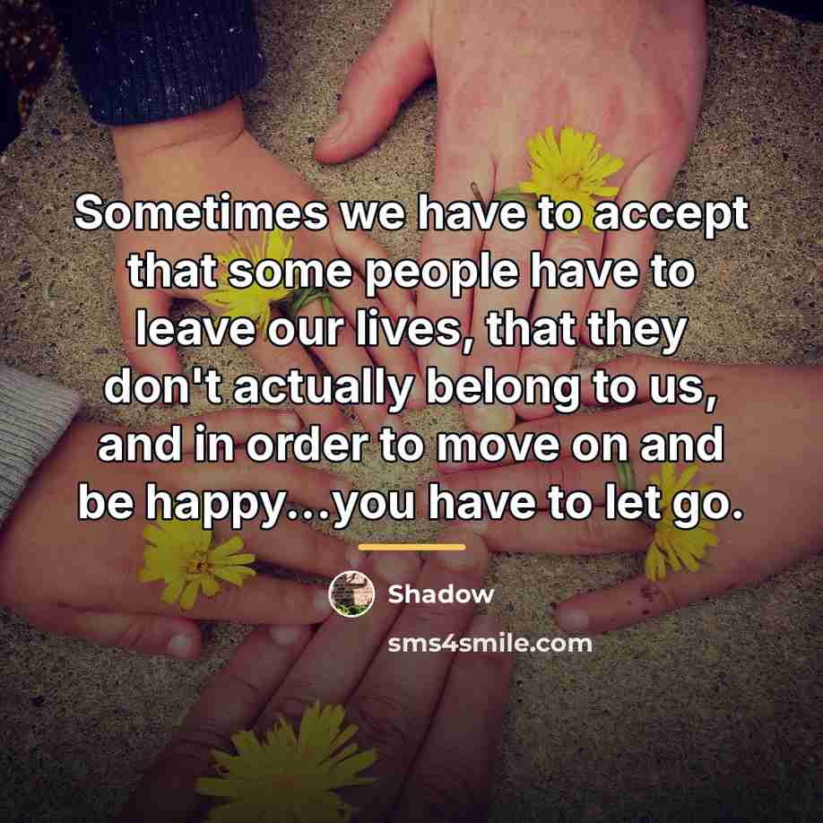 “Sometimes we have to accept that some people have to…” quote by Shadow