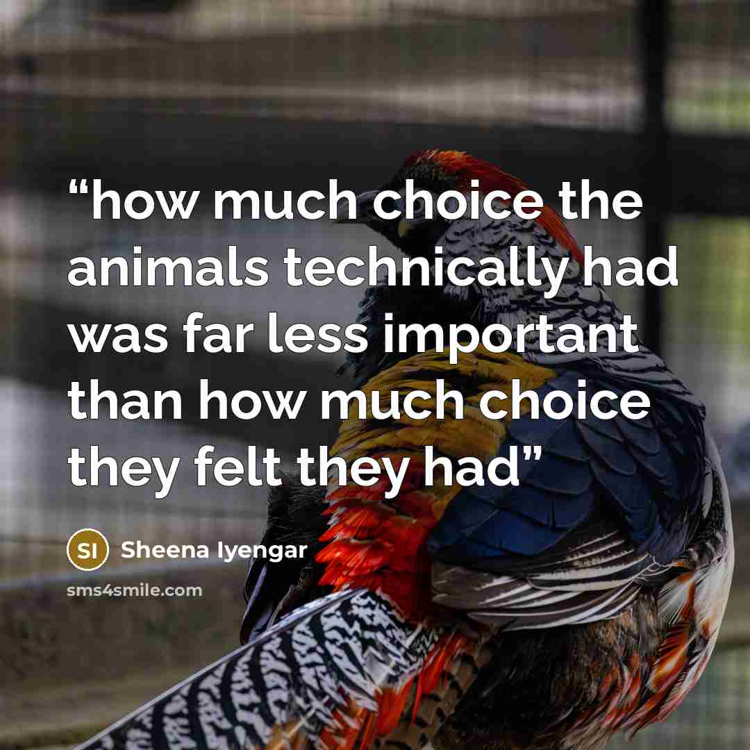 “how much choice the animals technically had was far less important than how much choice they felt they had” quote by Sheena Iyengar