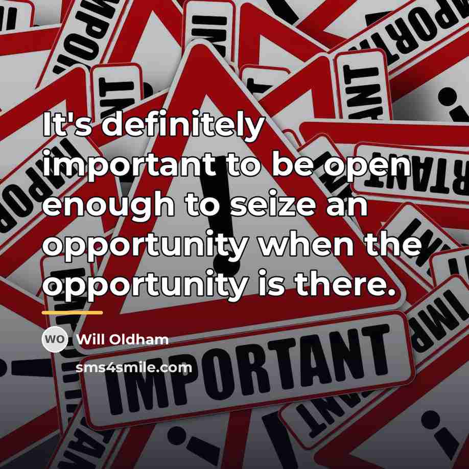 “It's definitely important to be open enough to seize an…” quote by Will Oldham