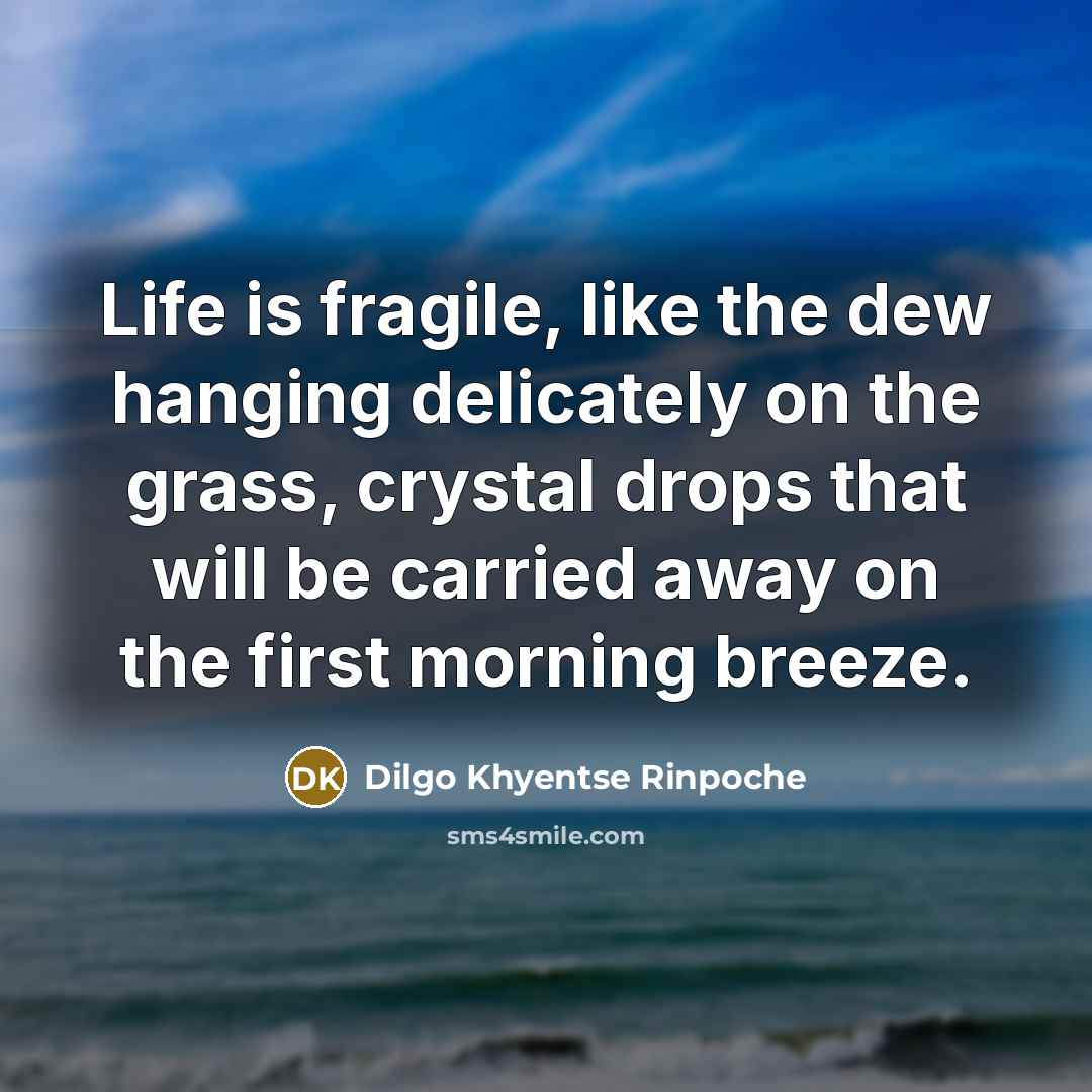 “Life is fragile, like the dew hanging delicately on the…” quote by Dilgo Khyentse Rinpoche