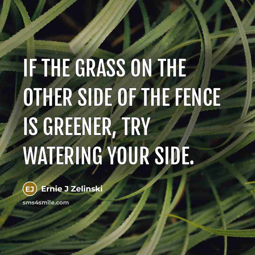 “If the grass on the other side of the fence…” quote by Ernie J Zelinski