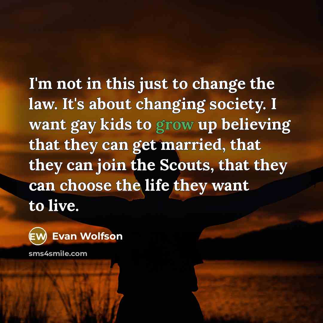 “I'm not in this just to change the law. It's…” quote by Evan Wolfson