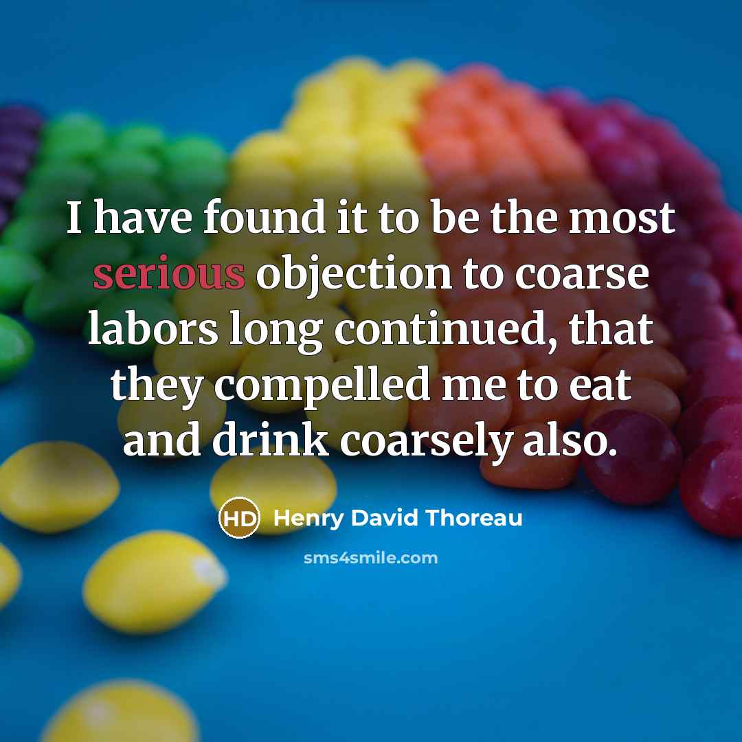 “I have found it to be the most serious objection…” quote by Henry David Thoreau