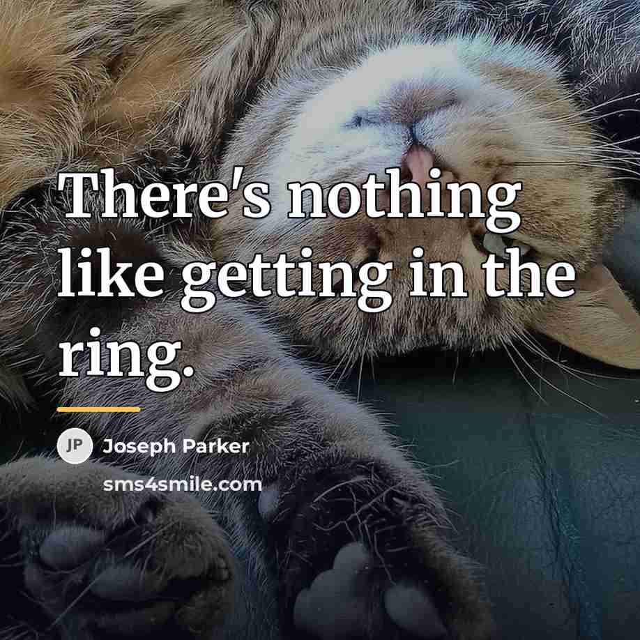 “There's nothing like getting in the ring.…” quote by Joseph Parker