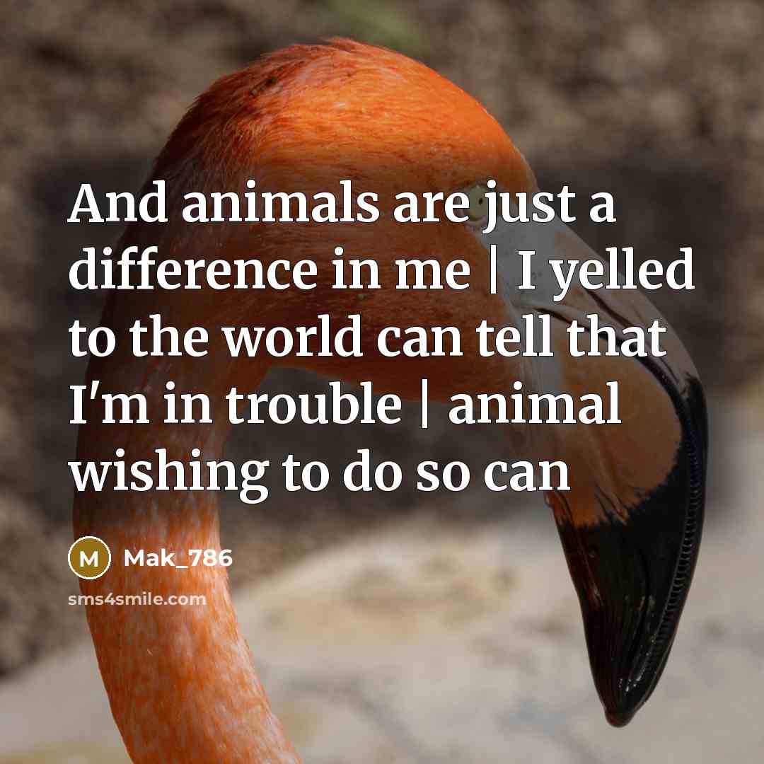 “And animals are just a difference in me | I…” quote by Mak_786