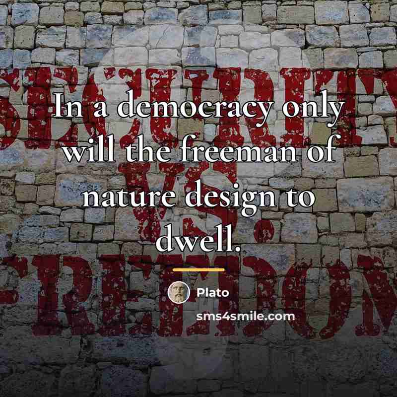 “In a democracy only will the freeman of nature design…” quote by Plato