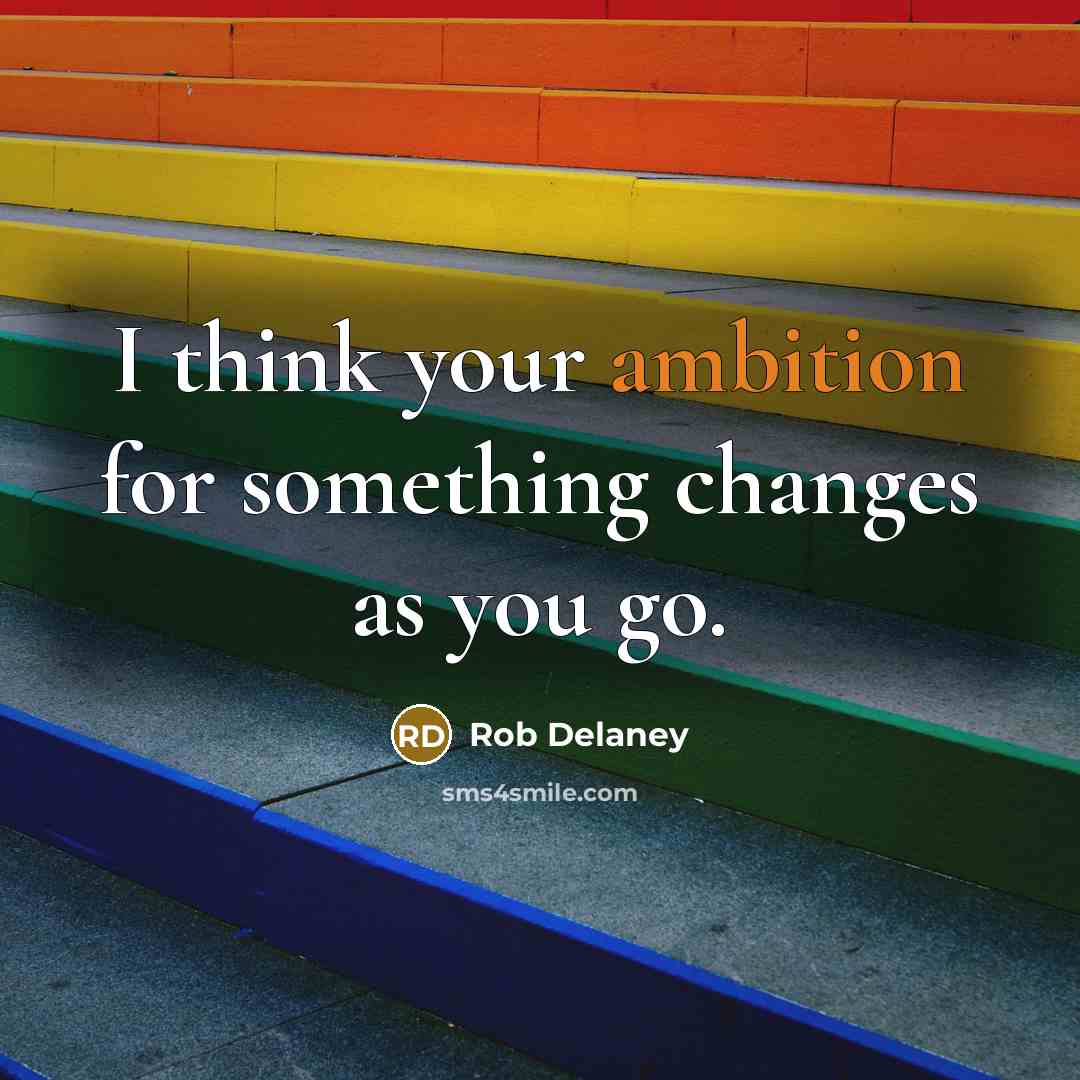 “I think your ambition for something changes as you go.…” quote by Rob Delaney