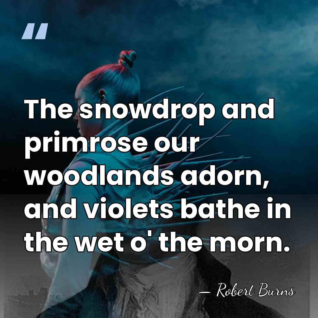 The snowdrop and primrose our woodlands adorn, and violets bathe in the&hellip; - Robert Burns
