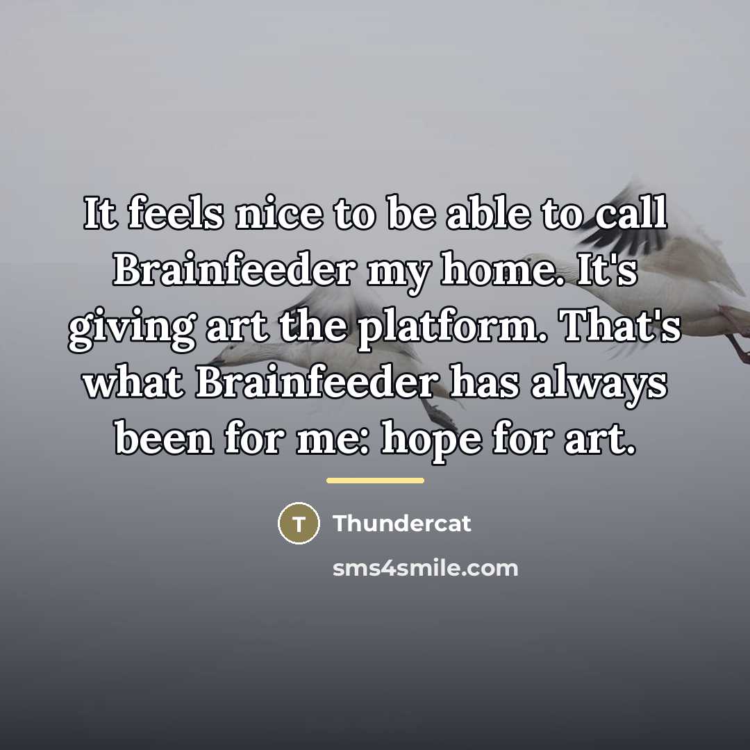 “It feels nice to be able to call Brainfeeder my…” quote by Thundercat