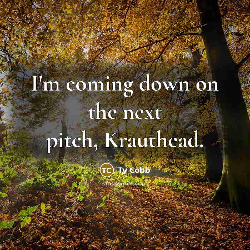 “I'm coming down on the next pitch, Krauthead.” quote by Ty Cobb