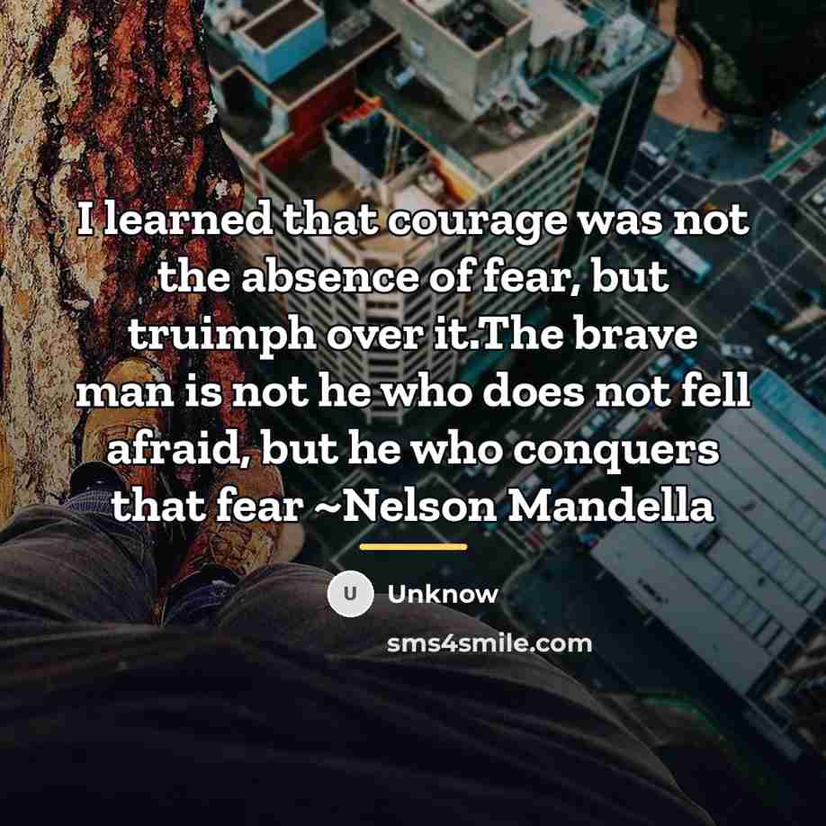 “I learned that courage was not the absence of fear,…” quote by Unknow