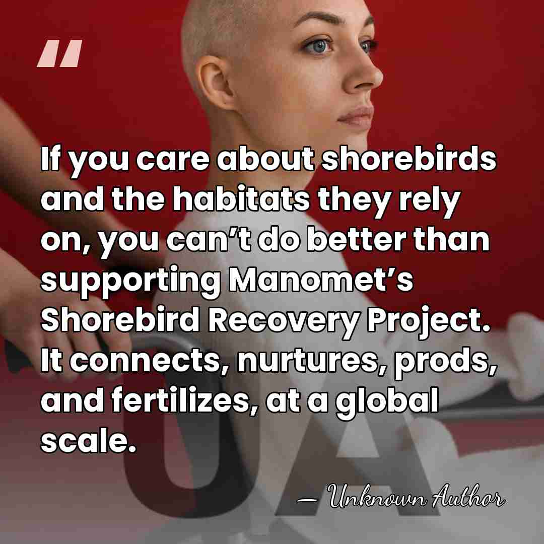 If you care about shorebirds and the habitats they rely on, you&hellip; - Unknown Author