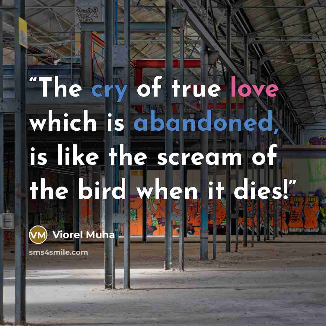 “The cry of true love which is abandoned, is like the scream of the bird when it dies!” quote by Viorel Muha
