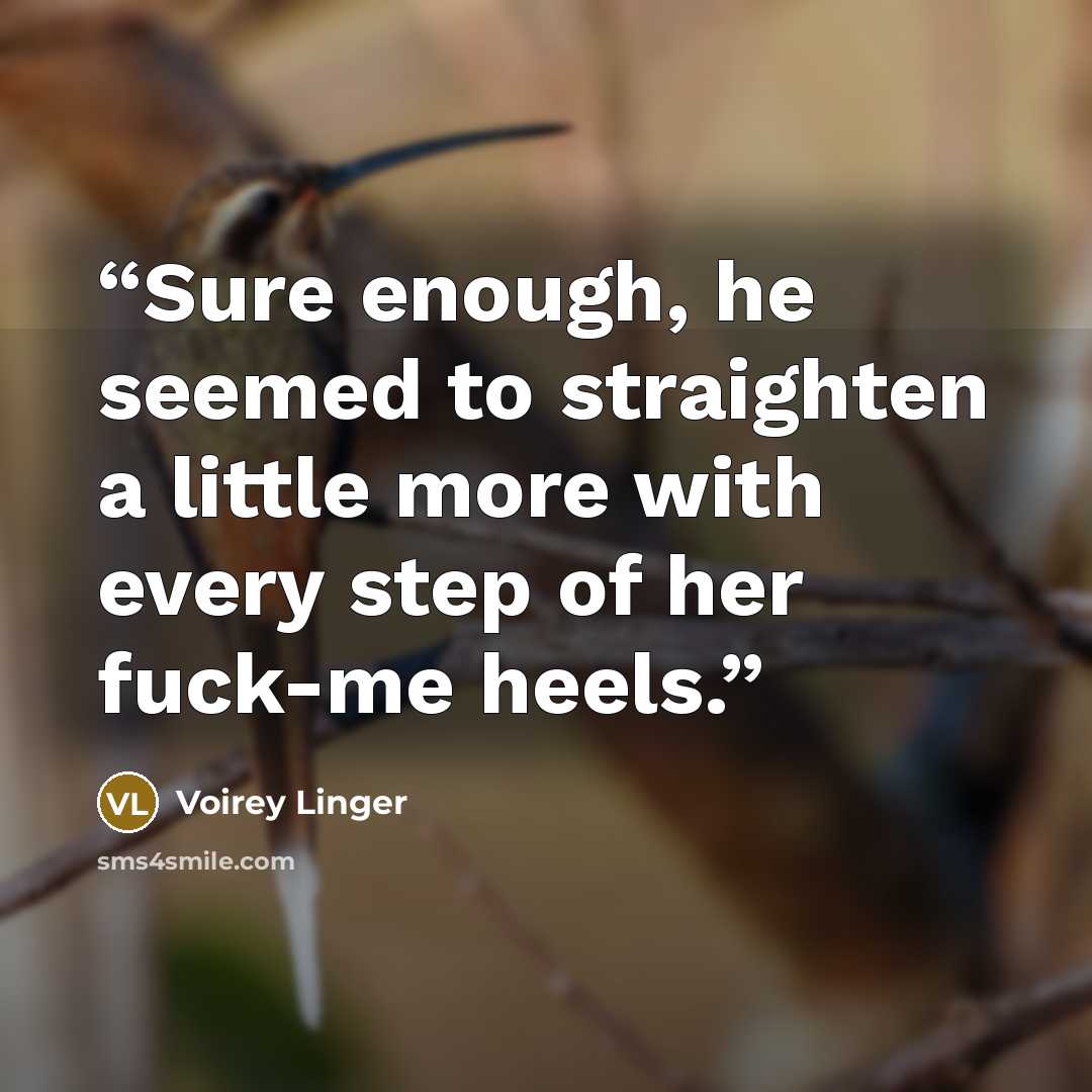 “Sure enough, he seemed to straighten a little more with every step of her fuck-me heels.” quote by Voirey Linger