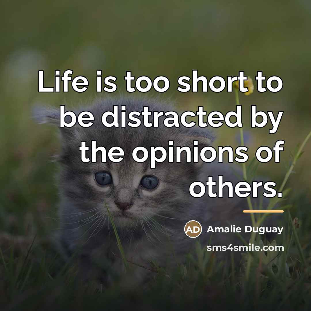 “Life is too short to be distracted by the opinions…” quote by Amalie Duguay