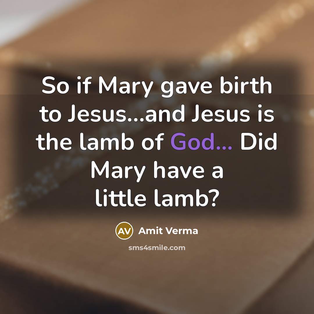 “So if Mary gave birth to Jesus....and Jesus is the…” quote by Amit Verma