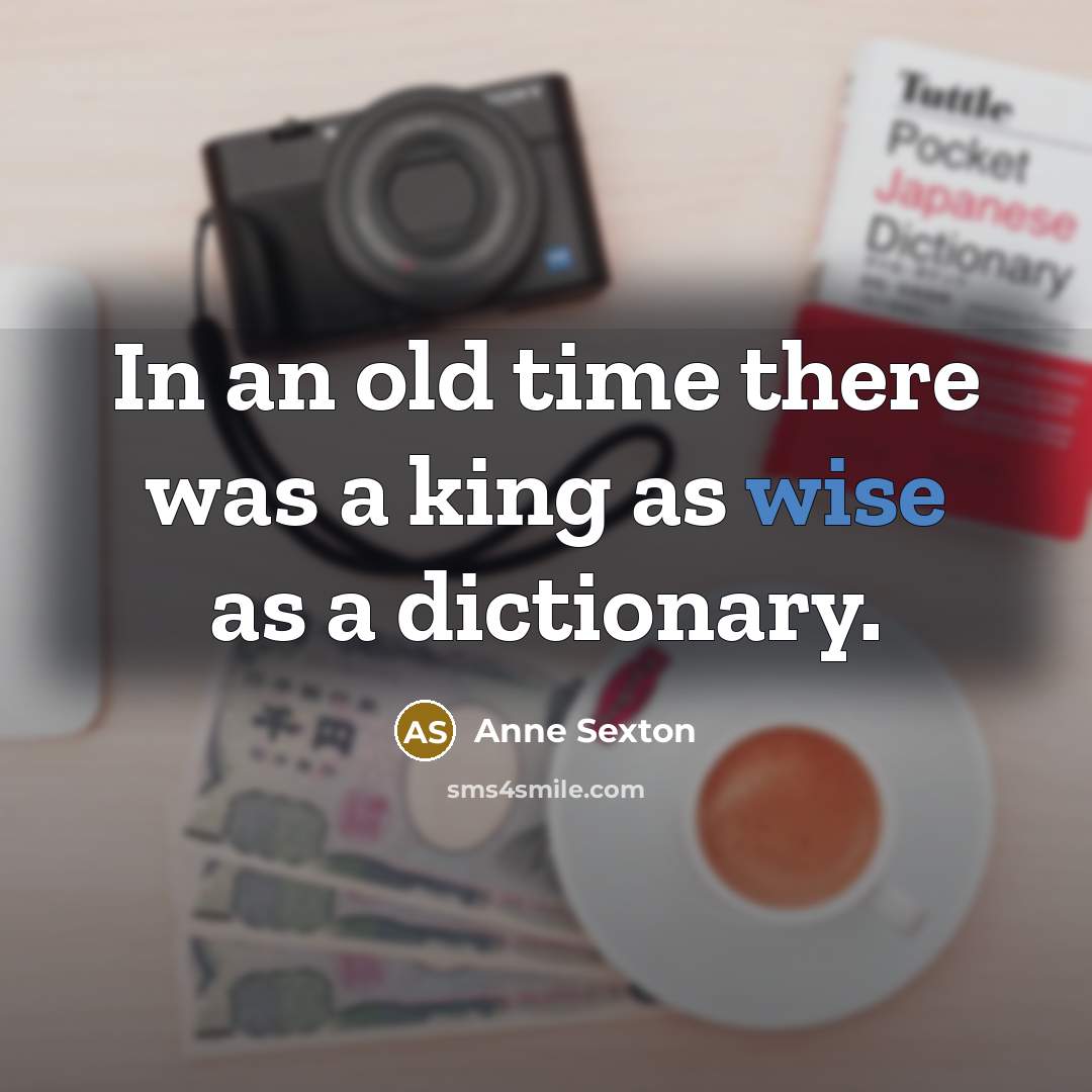 “In an old time there was a king as wise…” quote by Anne Sexton