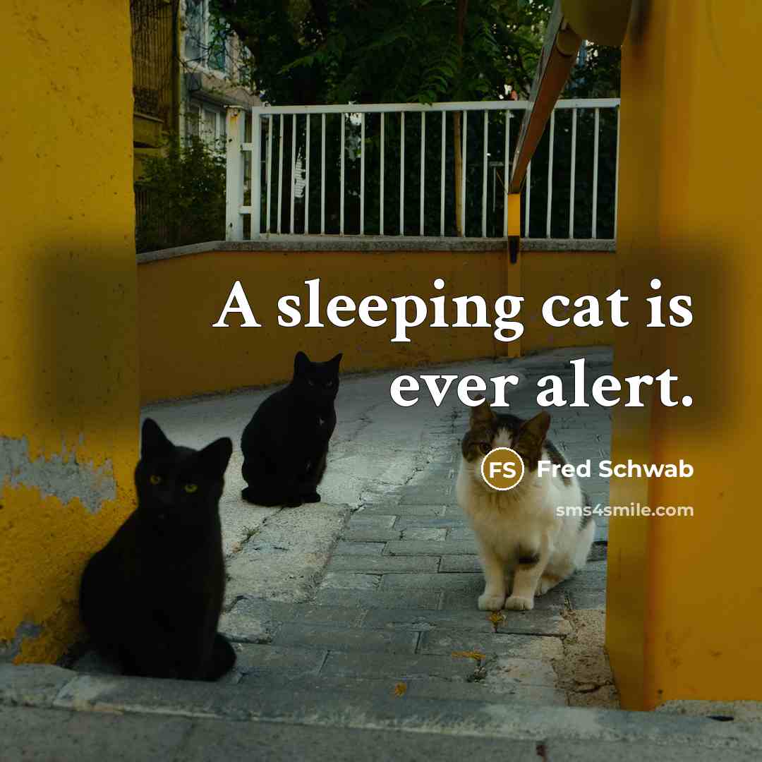 “A sleeping cat is ever alert.” quote by Fred Schwab