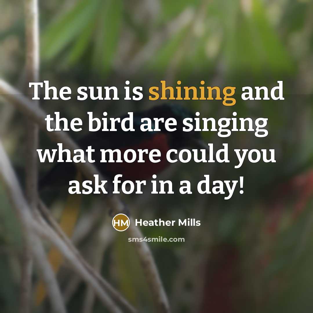 “The sun is shining and the bird are singing what…” quote by Heather Mills
