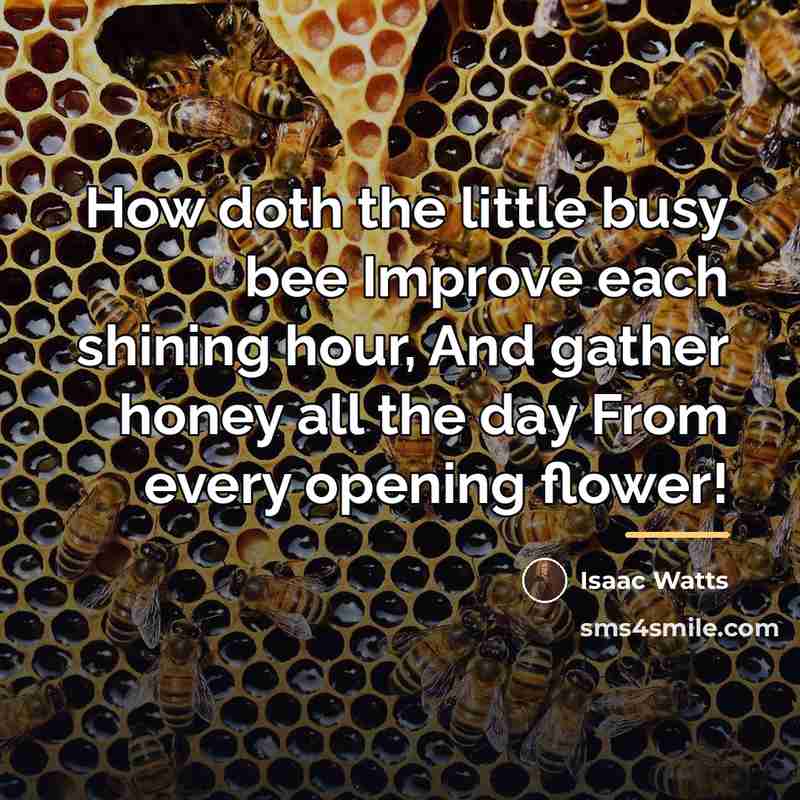 “How doth the little busy bee Improve each shining hour,…” quote by Isaac Watts
