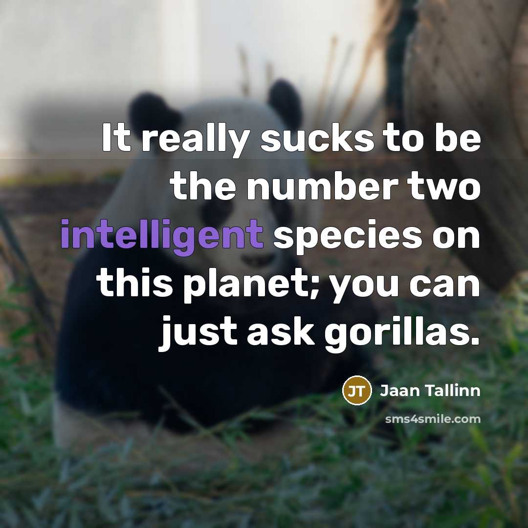“It really sucks to be the number two intelligent species…” quote by Jaan Tallinn