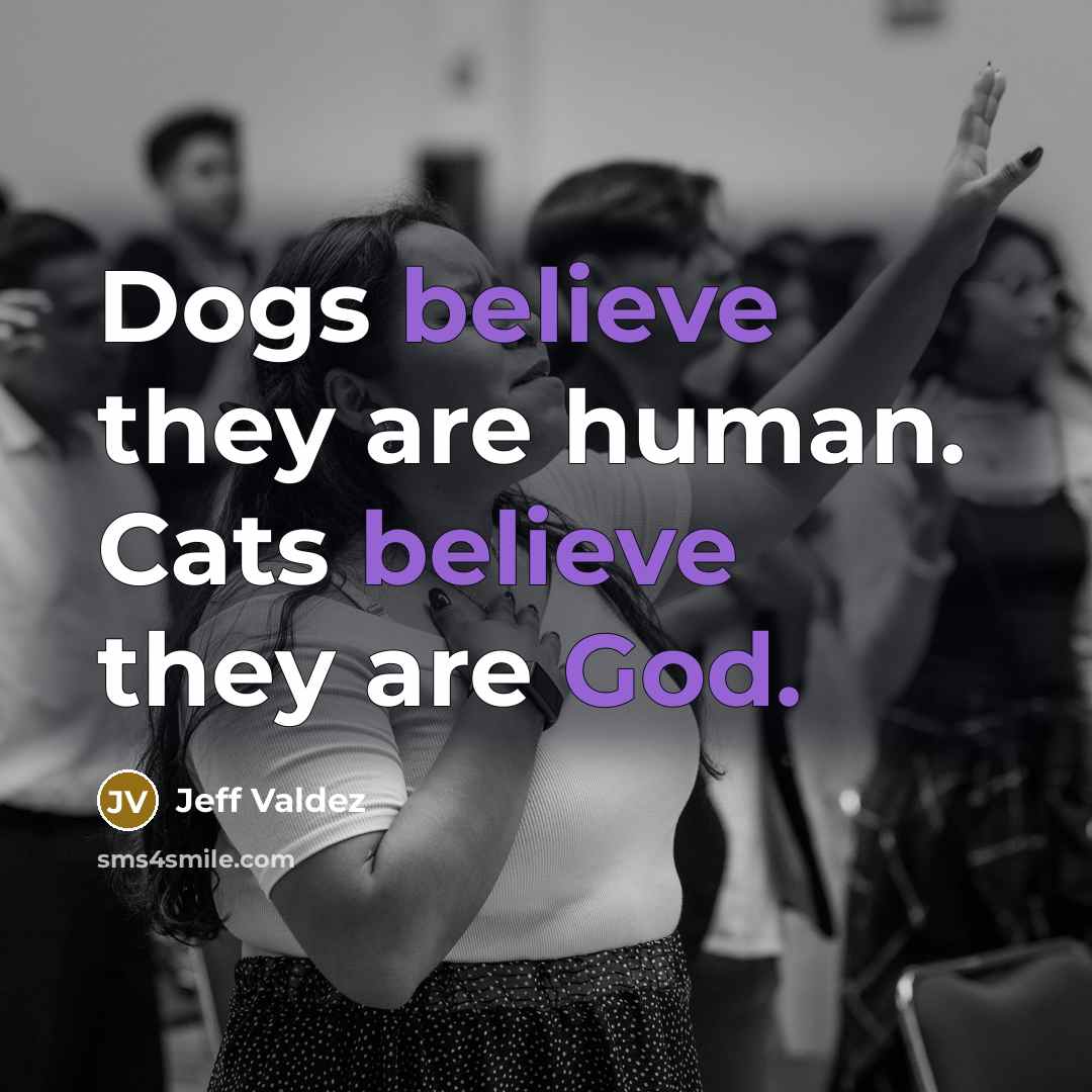 “Dogs believe they are human. Cats believe they are God.…” quote by Jeff Valdez