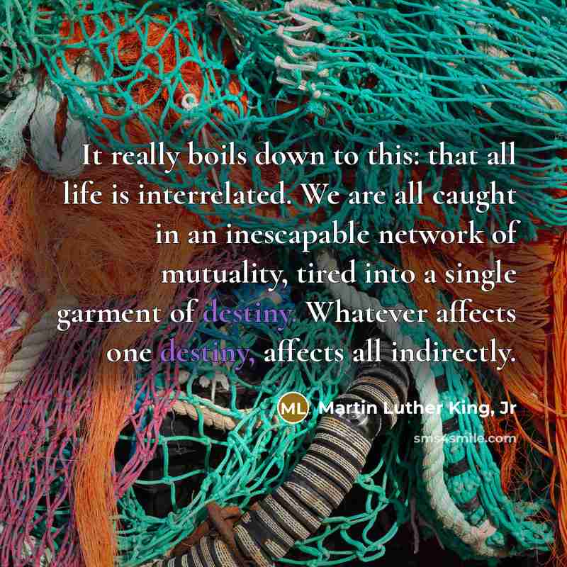 “It really boils down to this: that all life is…” quote by Martin Luther King, Jr