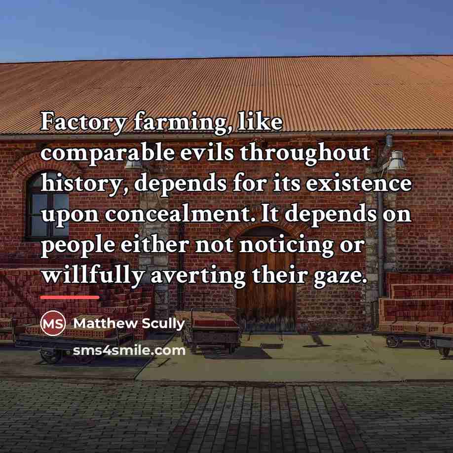 “Factory farming, like comparable evils throughout history, depends for its…” quote by Matthew Scully