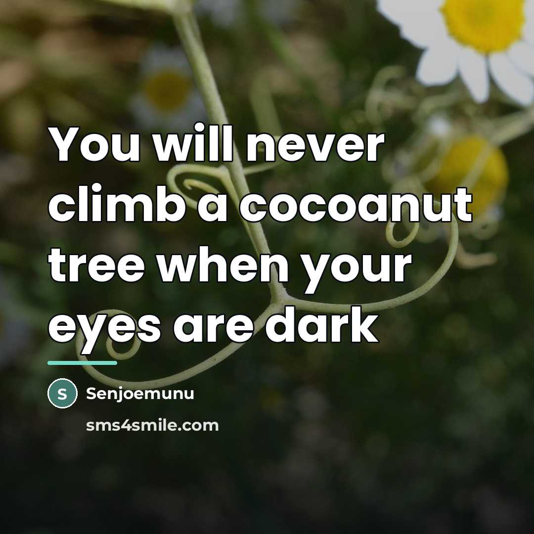 “You will never climb a cocoanut tree when your eyes…” quote by Senjoemunu