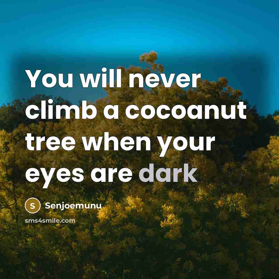 “You will never climb a cocoanut tree when your eyes are dark” quote by Senjoemunu