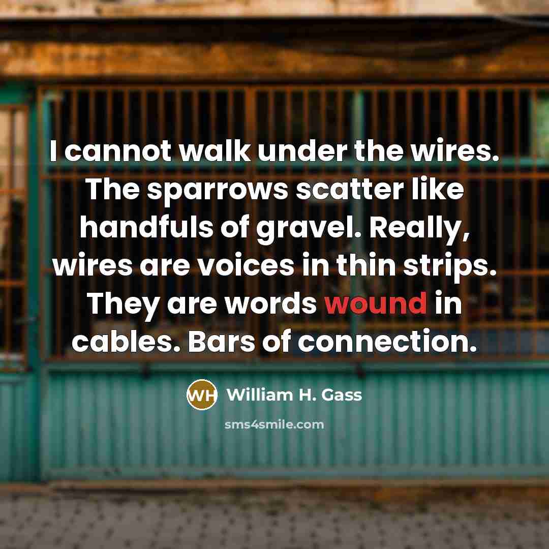 “I cannot walk under the wires. The sparrows scatter like…” quote by William H. Gass