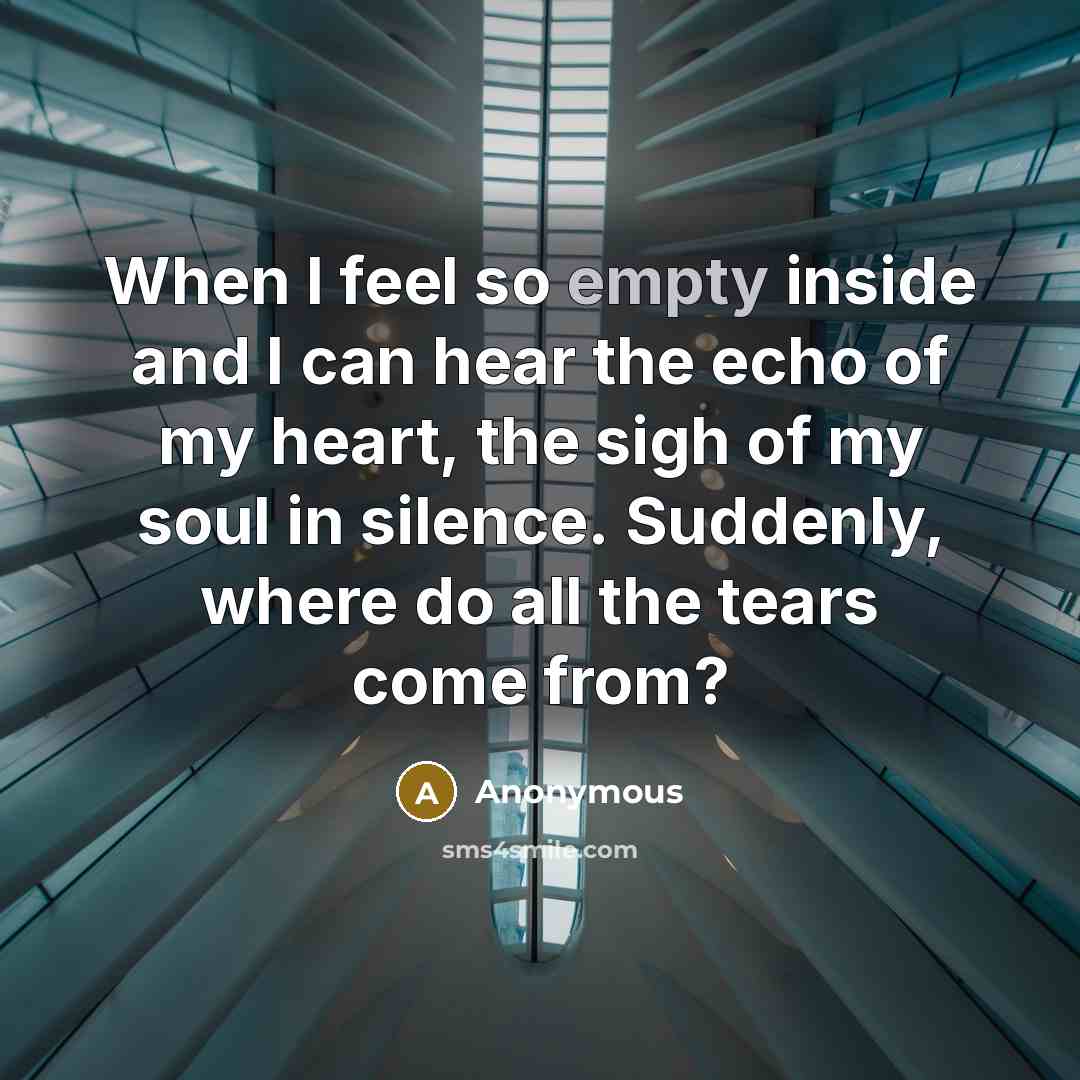 “When I feel so empty inside and I can hear the echo of my heart, the sigh of my soul in silence. Suddenly, where do all the tears come from?” quote by Anonymous