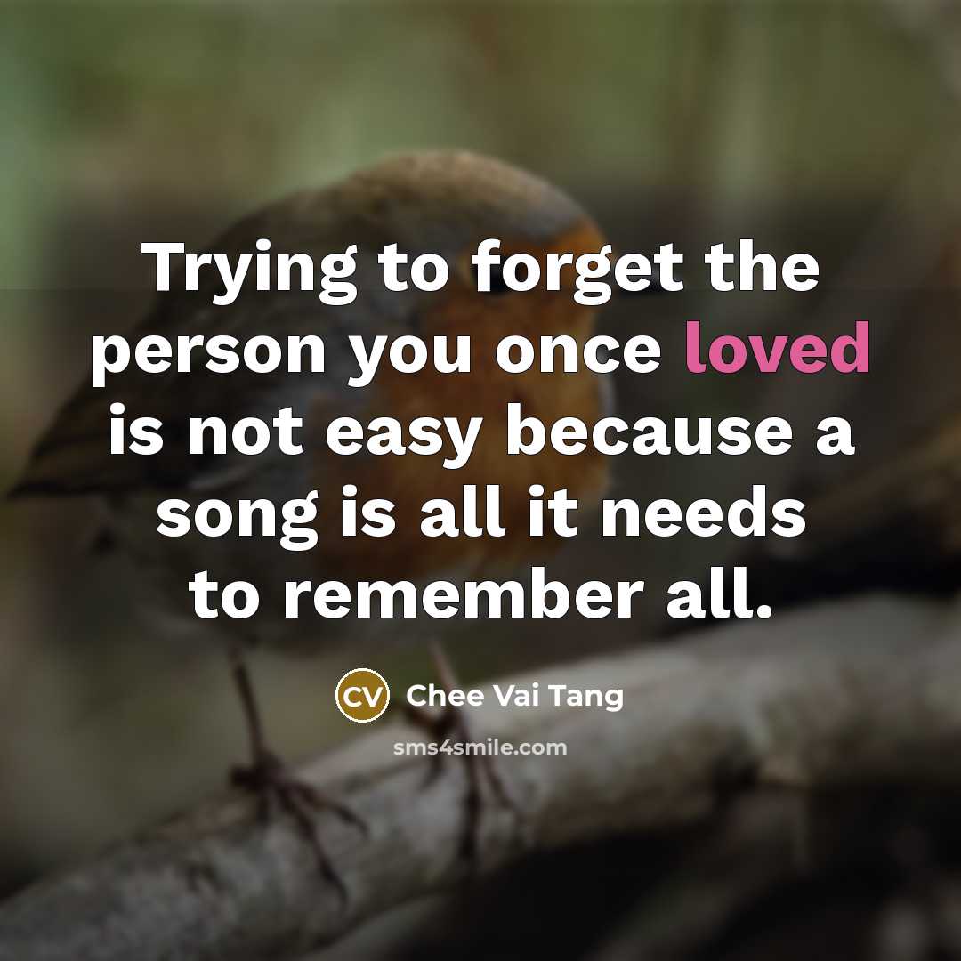 “Trying to forget the person you once loved is not easy because a song is all it needs to remember all.” quote by Chee Vai Tang