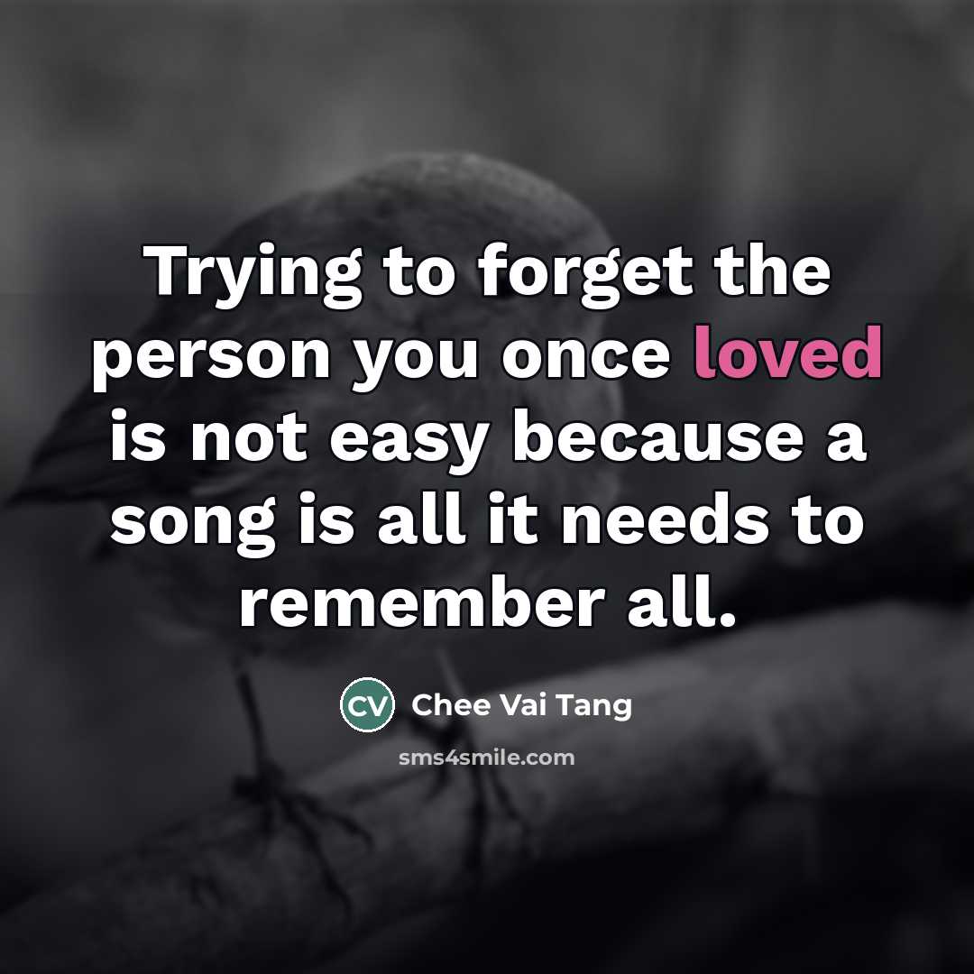 “Trying to forget the person you once loved is not…” quote by Chee Vai Tang