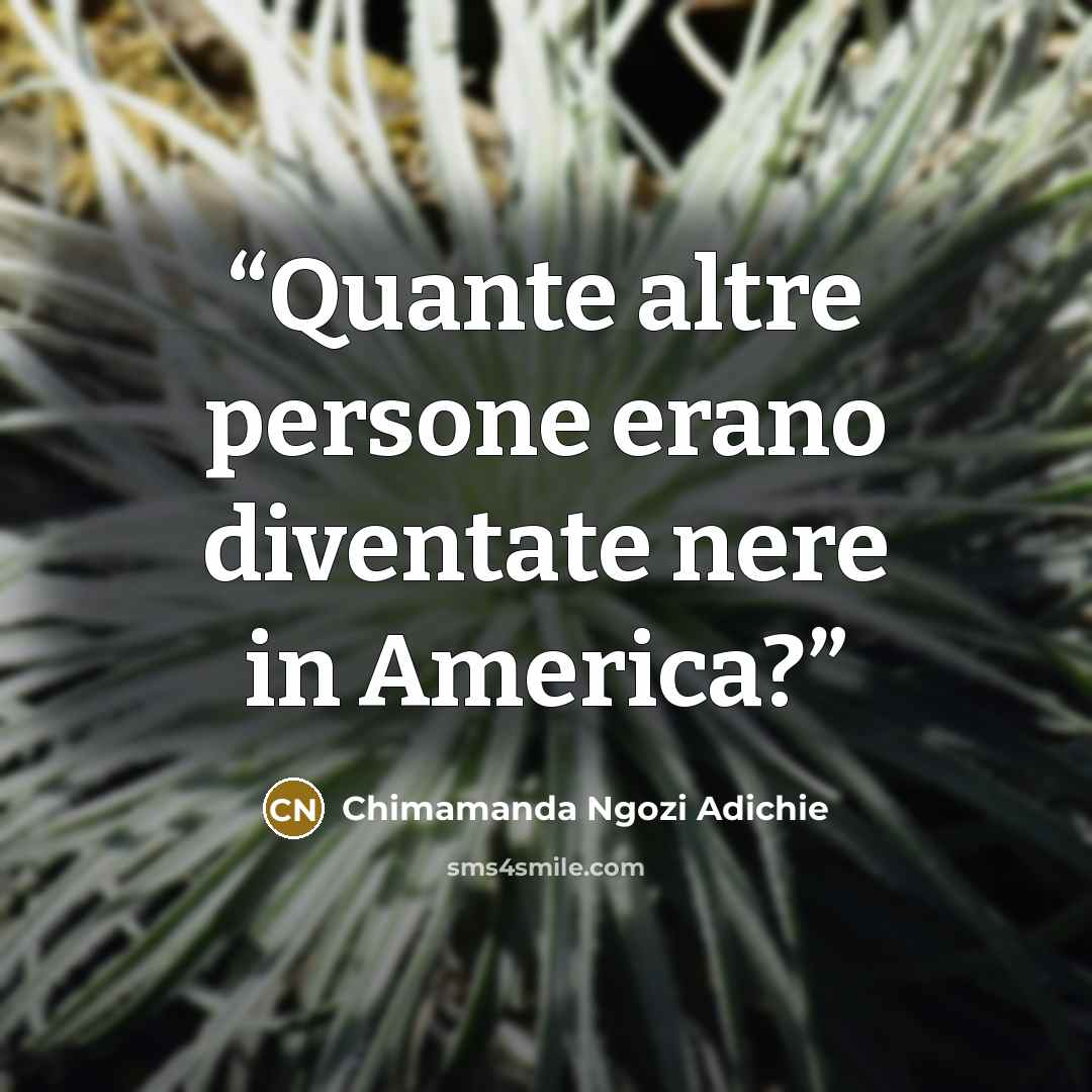 “Quante altre persone erano diventate nere in America?” quote by Chimamanda Ngozi Adichie