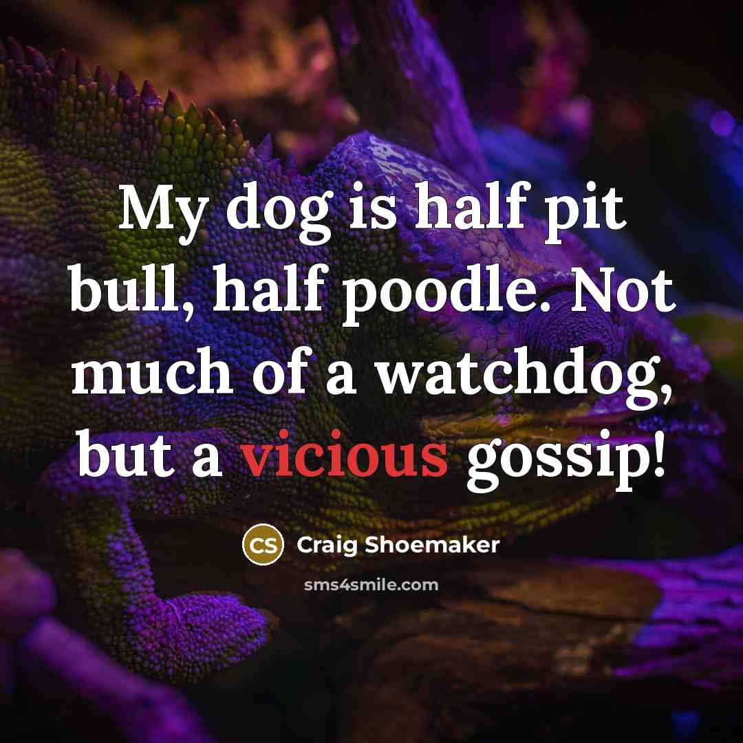 “My dog is half pit bull, half poodle. Not much of a watchdog, but a vicious gossip!” quote by Craig Shoemaker