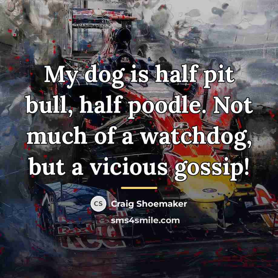 “My dog is half pit bull, half poodle. Not much…” quote by Craig Shoemaker