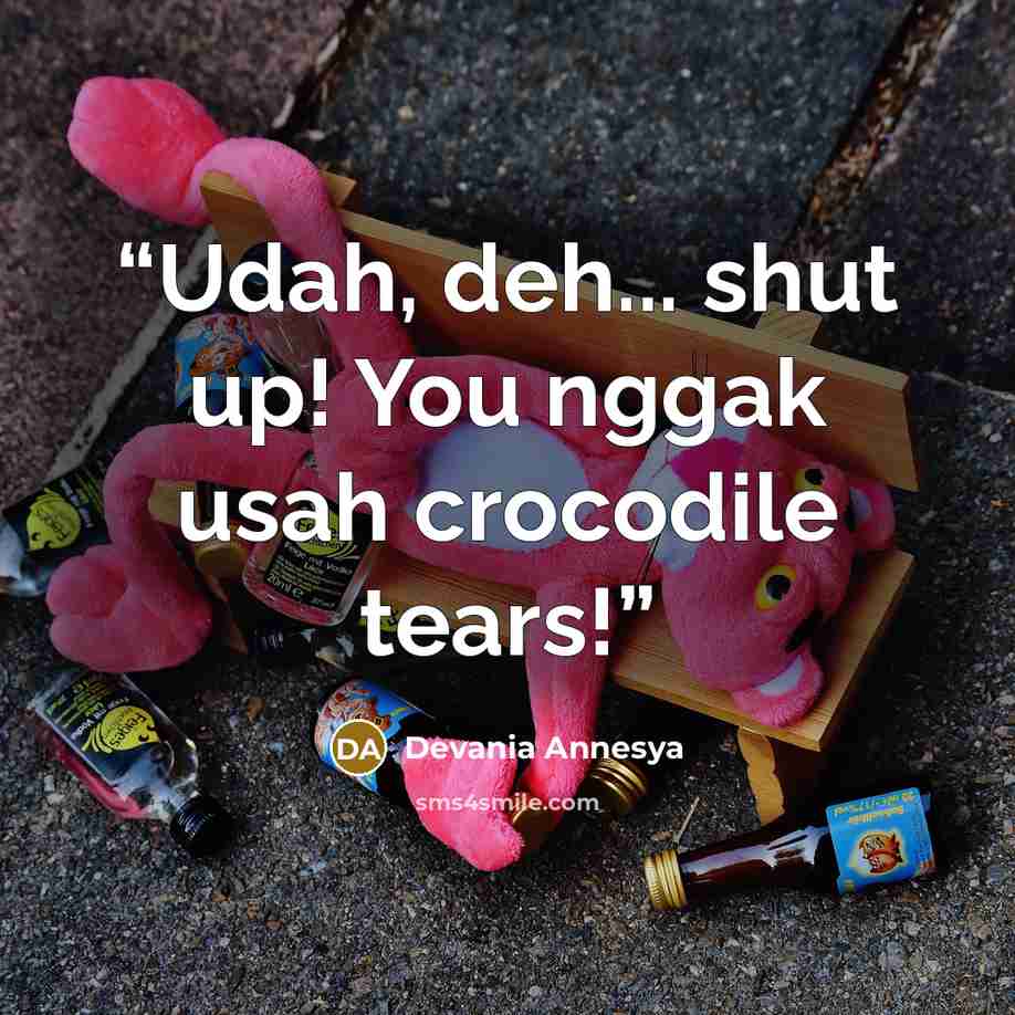 “Udah, deh... shut up! You nggak usah crocodile tears!” quote by Devania Annesya