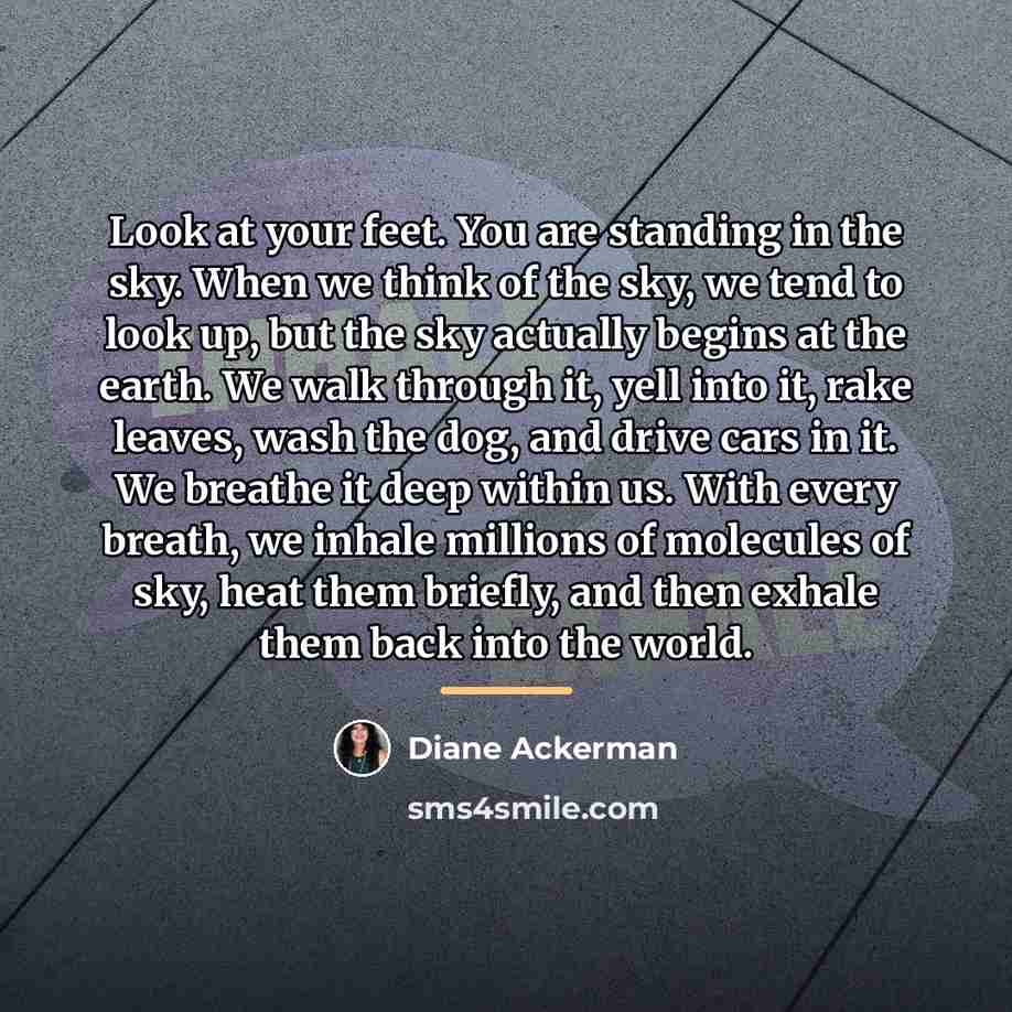 “Look at your feet. You are standing in the sky.…” quote by Diane Ackerman