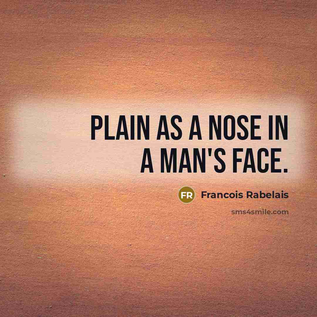 “Plain as a nose in a man's face.…” quote by Francois Rabelais
