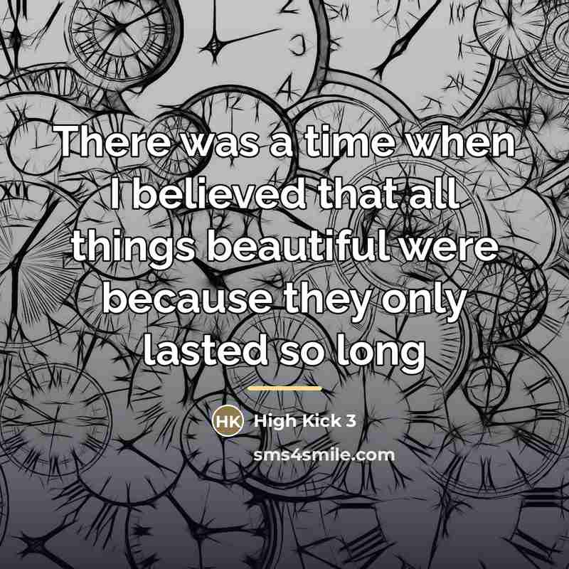 “There was a time when I believed that all things…” quote by High Kick 3