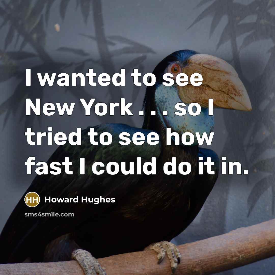 “I wanted to see New York . . . so…” quote by Howard Hughes