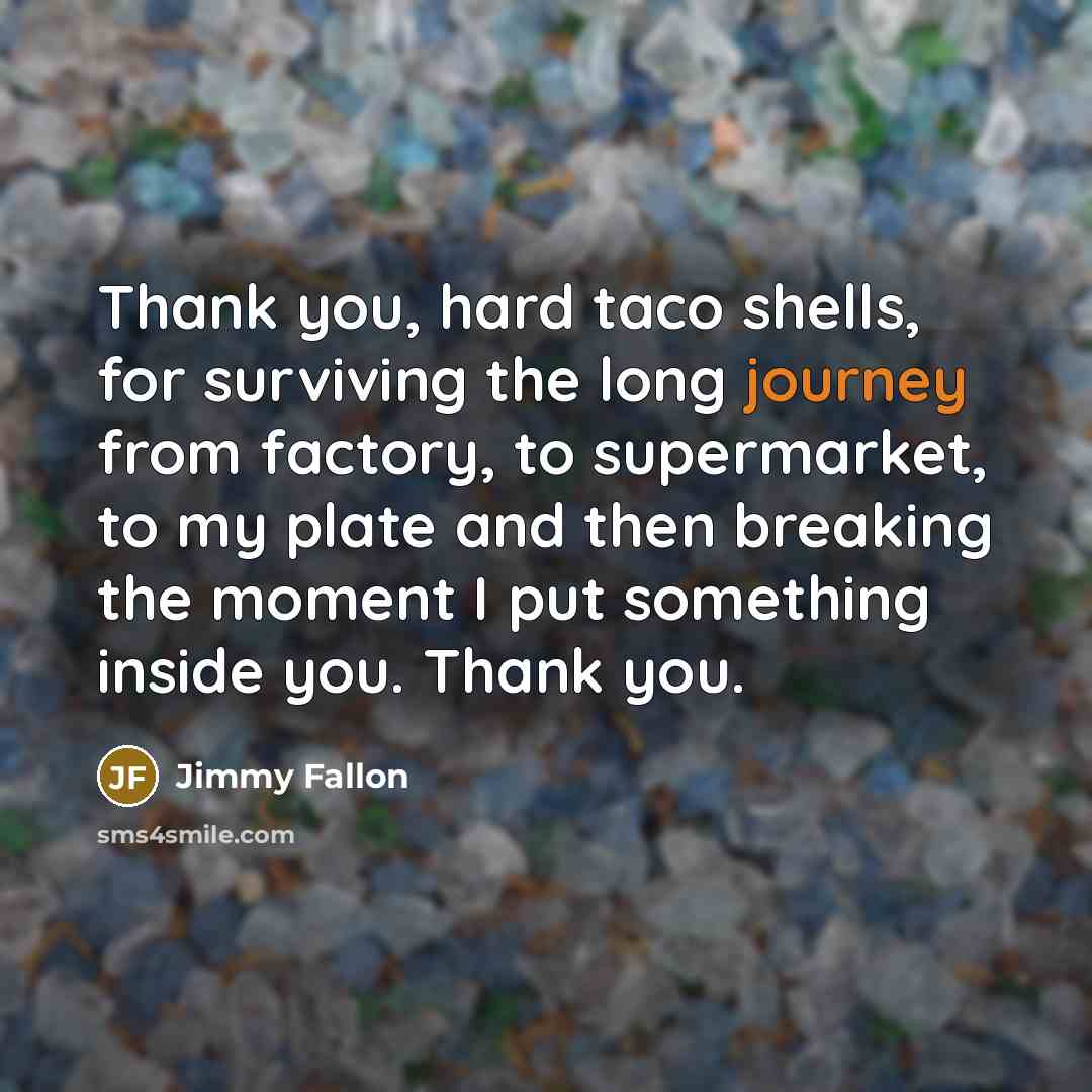 “Thank you, hard taco shells, for surviving the long journey…” quote by Jimmy Fallon