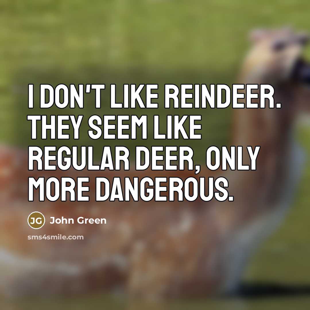 “I don't like reindeer. They seem like regular deer, only…” quote by John Green