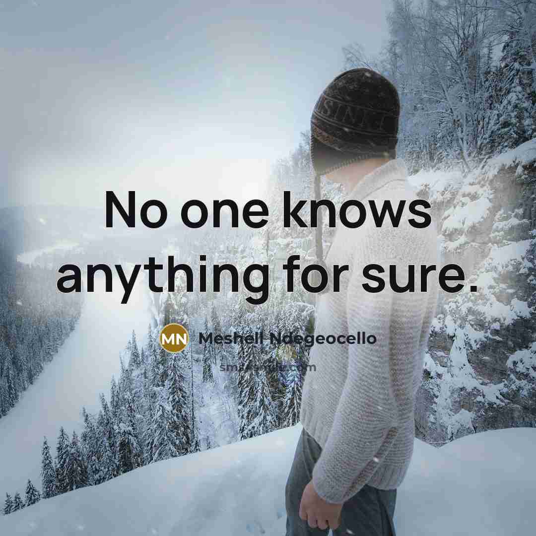 “No one knows anything for sure.…” quote by Meshell Ndegeocello